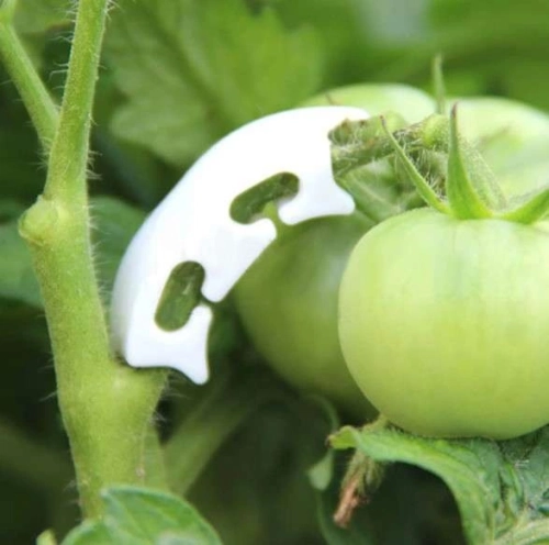 Herbgarden Plant Support Clamps - kolanka wspierające rośliny 50szt