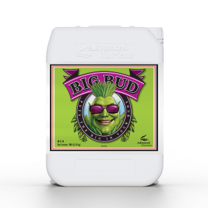 Nawóz Advanced Nutrients BIG BUD 5L stymulator kwitnienia
