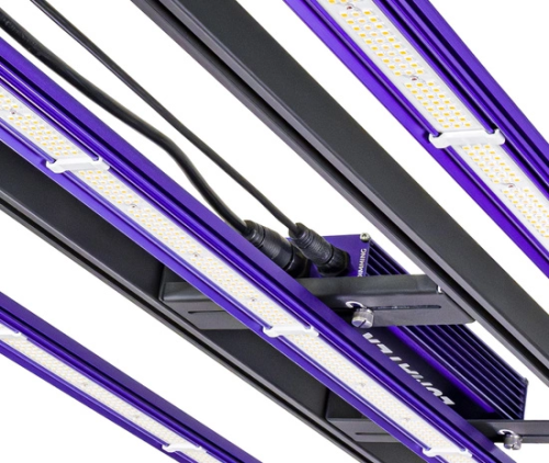 Lumatek Zeus 300W PRO 3.1 LED - FULL SPECTRUM | pokrycie 120x60