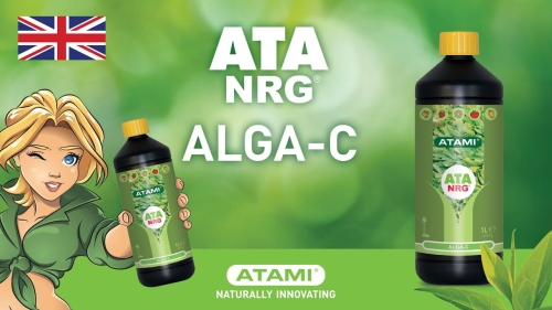 Nawóz Ata Organics Alga C 250ml