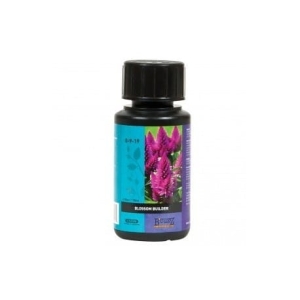 Nawóz Atami BLOSSOM BUILDER B`CUZZ, 50ml (zwiększenie masy)