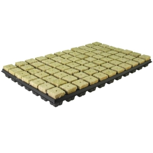 Grodan taca wełny mineralnej (77szt.) 3,5x3,5cm